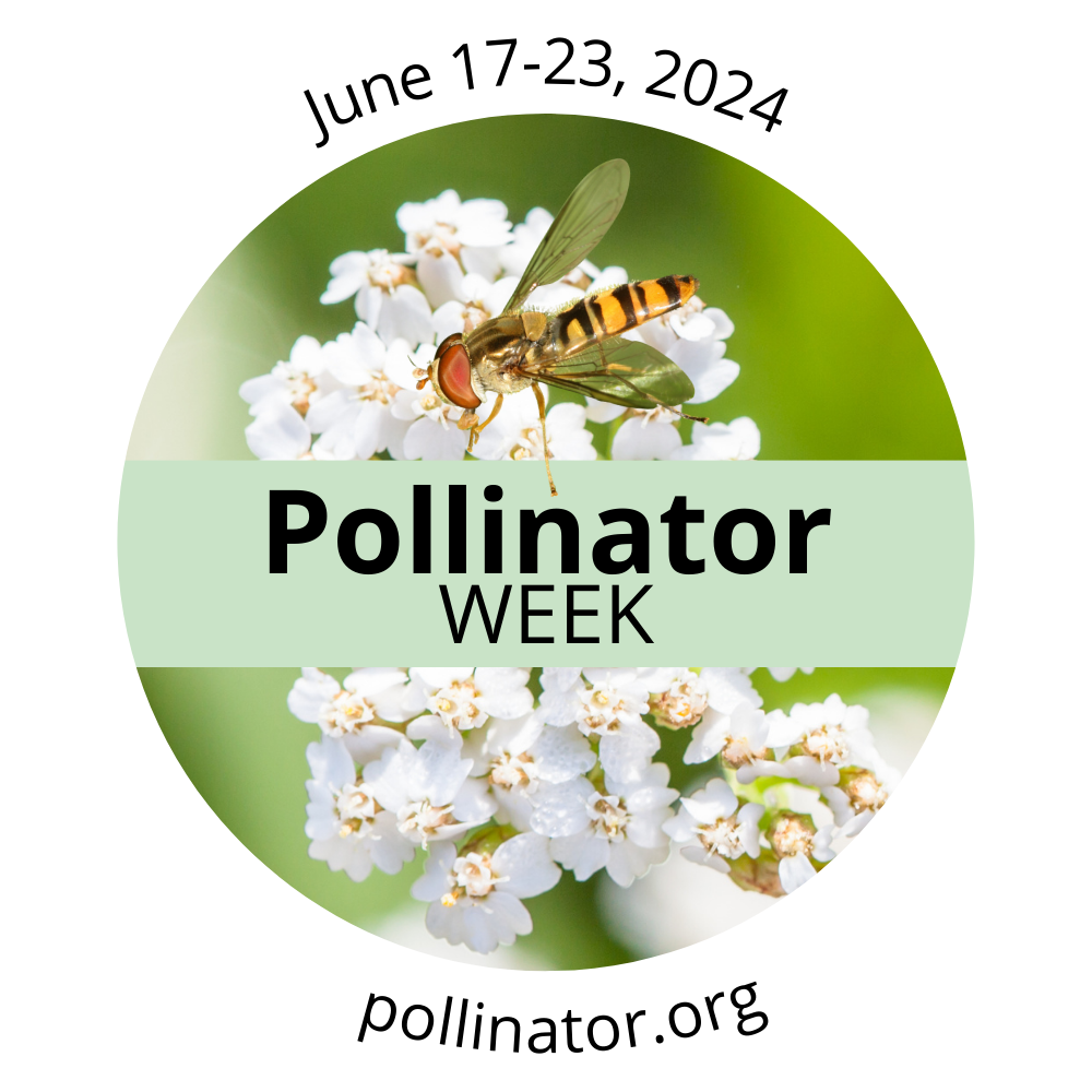 Pollinator_Week_Logo_2024_English_2024-01-23-203355_wcac