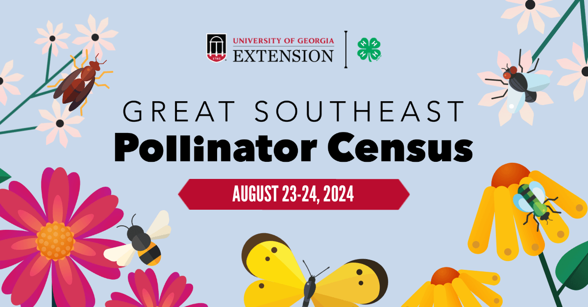 Copy of Pollinator Census Facebook Post